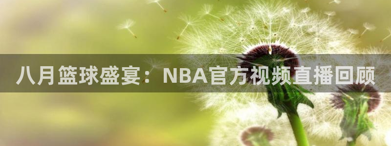 八月篮球盛宴：NBA官方视频直播回顾