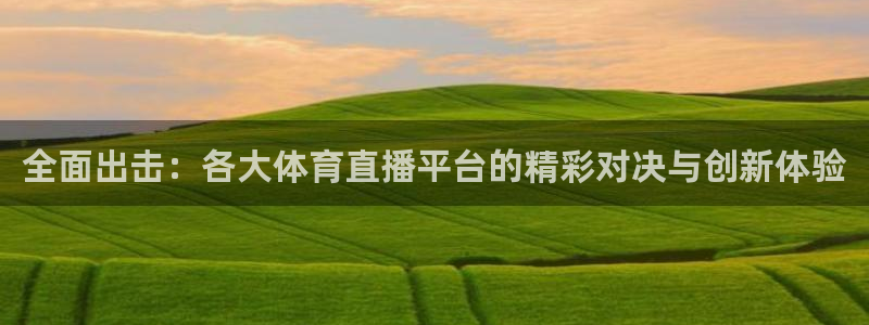 全面出击：各大体育直播平台的精彩对决与创新体验