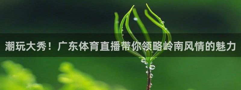 潮玩大秀！广东体育直播带你领略岭南风情的魅力