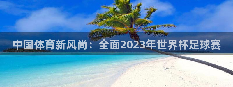 中国体育新风尚：全面2023年世界杯足球赛