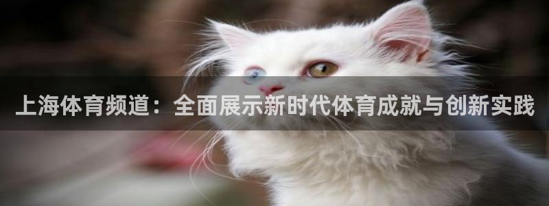 上海体育频道：全面展示新时代体育成就与创新实践