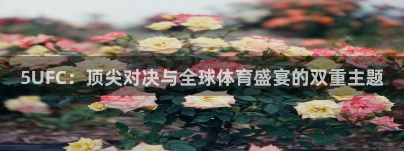 5UFC：顶尖对决与全球体育盛宴的双重主题