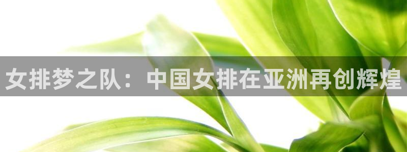 女排梦之队：中国女排在亚洲再创辉煌