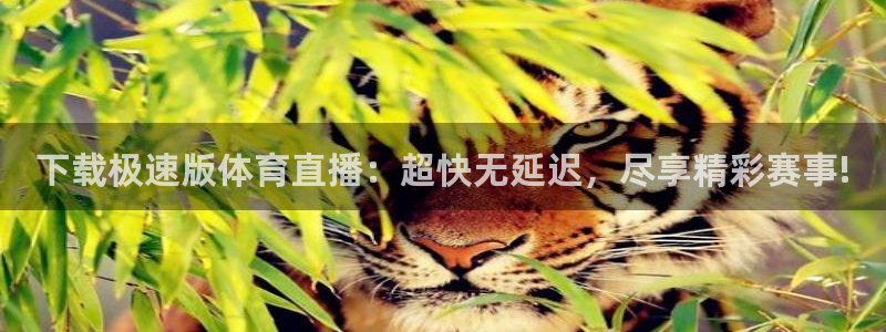 下载极速版体育直播：超快无延迟，尽享精彩赛事!