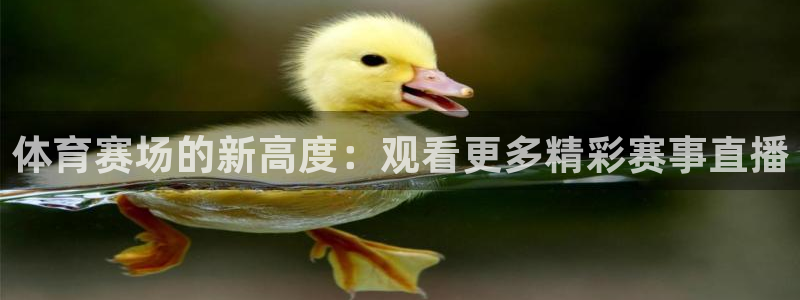 体育赛场的新高度：观看更多精彩赛事直播