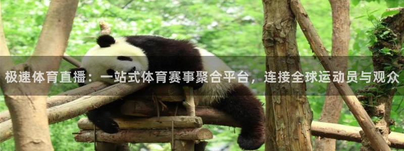极速体育直播：一站式体育赛事聚合平台，连接全球运动员与观众