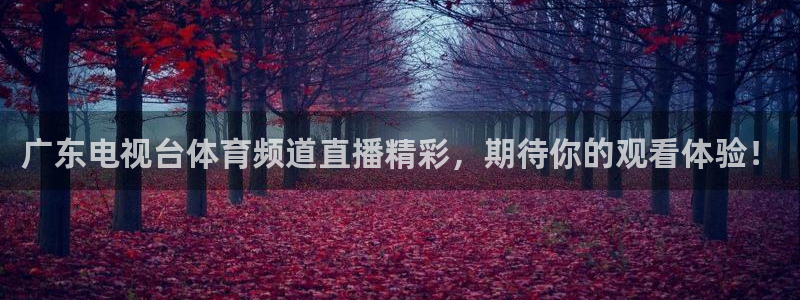 广东电视台体育频道直播精彩，期待你的观看体验！