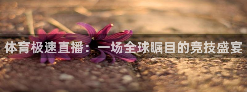 体育极速直播：一场全球瞩目的竞技盛宴