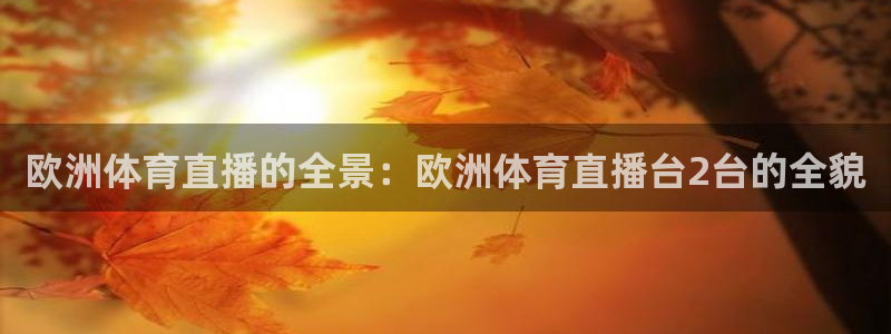 欧洲体育直播的全景：欧洲体育直播台2台的全貌