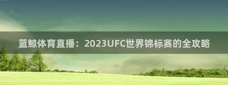 蓝鲸体育直播：2023UFC世界锦标赛的全攻略