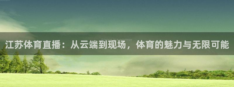 江苏体育直播：从云端到现场，体育的魅力与无限可能