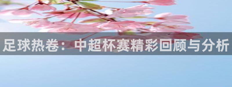 足球热卷：中超杯赛精彩回顾与分析