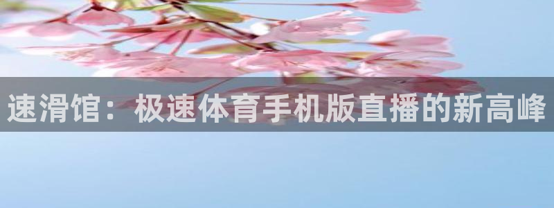 速滑馆：极速体育手机版直播的新高峰