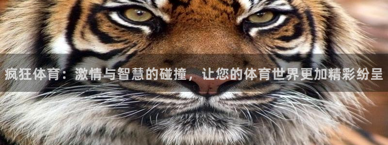 疯狂体育：激情与智慧的碰撞，让您的体育世界更加精彩纷呈