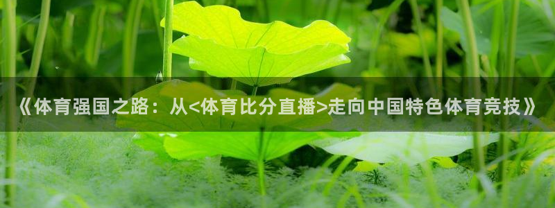 《体育强国之路：从<体育比分直播>走向中国特色体育竞技》