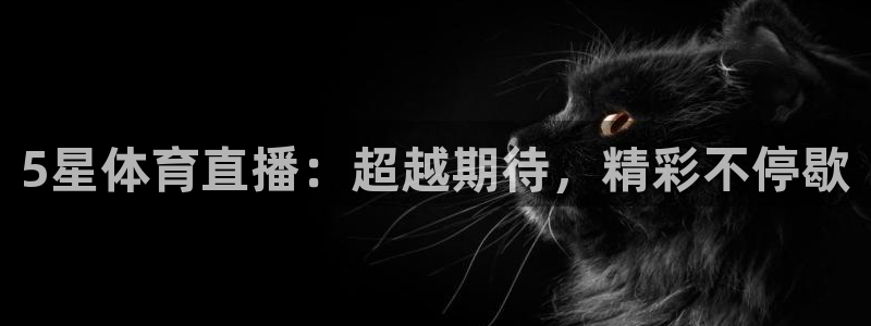5星体育直播：超越期待，精彩不停歇