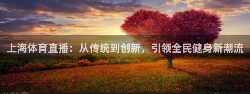 上海体育直播：从传统到创新，引领全民健身新潮流