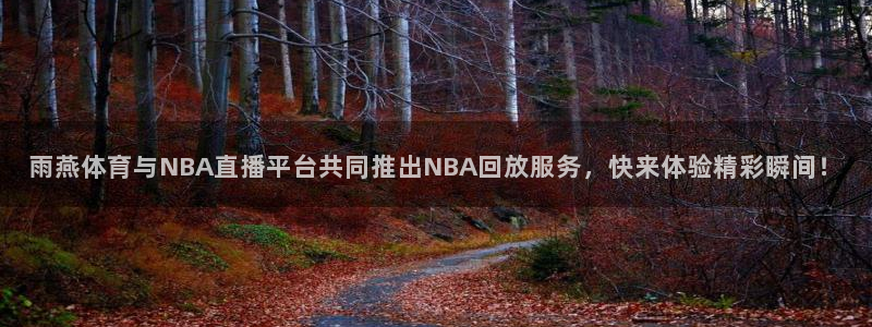 雨燕体育与NBA直播平台共同推出NBA回放服务，快来体验精彩瞬间！