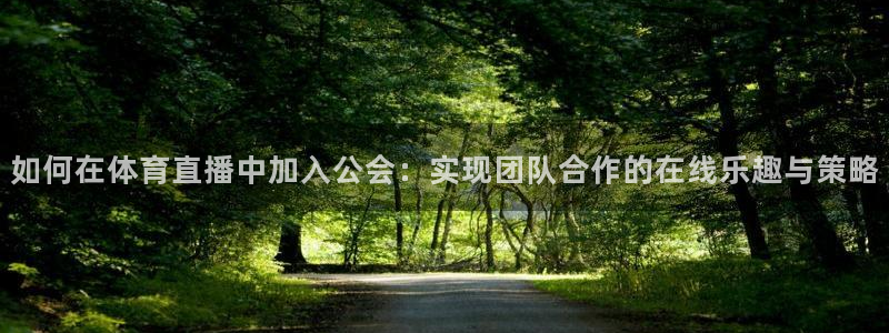 如何在体育直播中加入公会：实现团队合作的在线乐趣与策略