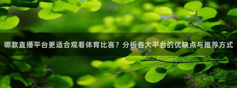 哪款直播平台更适合观看体育比赛？分析各大平台的优缺点与推荐方式