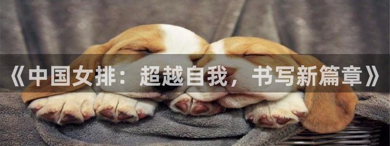 《中国女排：超越自我，书写新篇章》