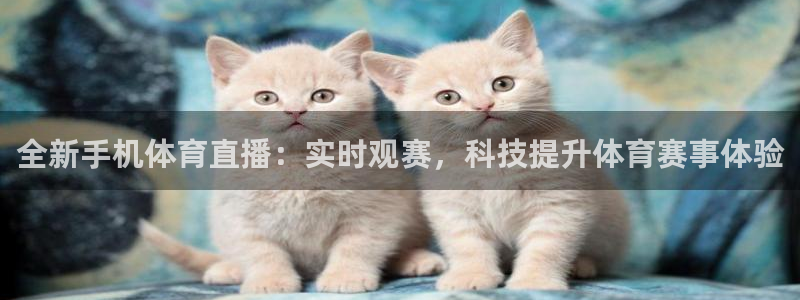 全新手机体育直播：实时观赛，科技提升体育赛事体验