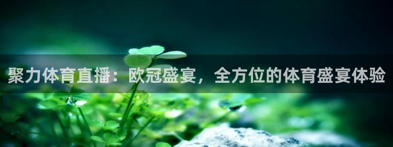 聚力体育直播：欧冠盛宴，全方位的体育盛宴体验