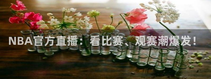 NBA官方直播：看比赛、观赛潮爆发！