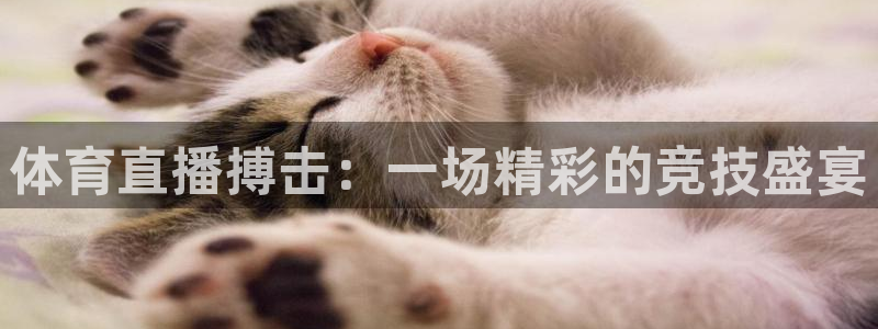 体育直播搏击：一场精彩的竞技盛宴