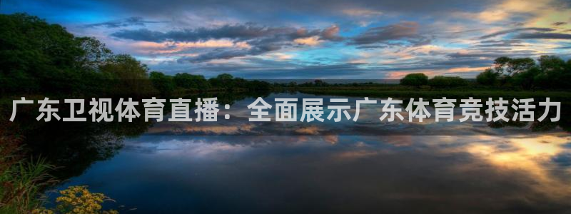 广东卫视体育直播：全面展示广东体育竞技活力