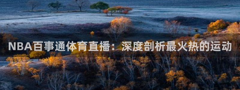 NBA百事通体育直播：深度剖析最火热的运动