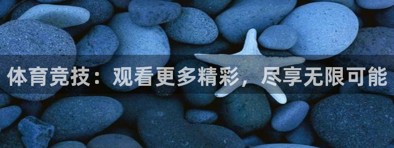 体育竞技：观看更多精彩，尽享无限可能