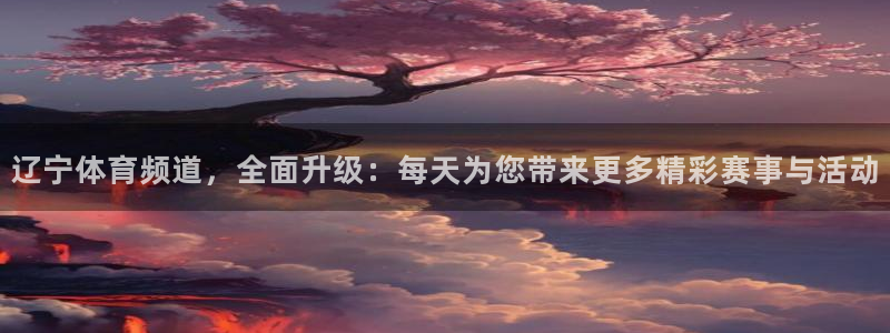 辽宁体育频道，全面升级：每天为您带来更多精彩赛事与活动