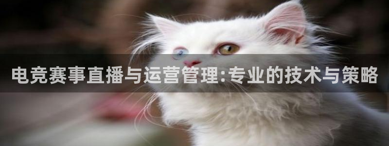 电竞赛事直播与运营管理:专业的技术与策略