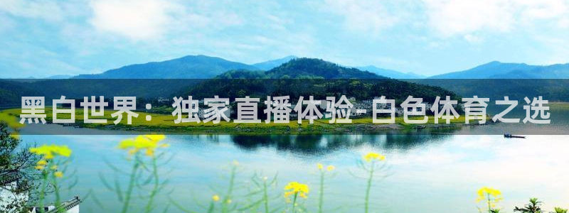黑白世界：独家直播体验-白色体育之选