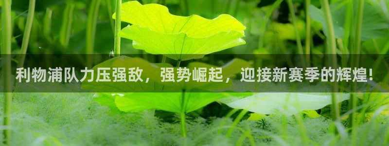 利物浦队力压强敌，强势崛起，迎接新赛季的辉煌!