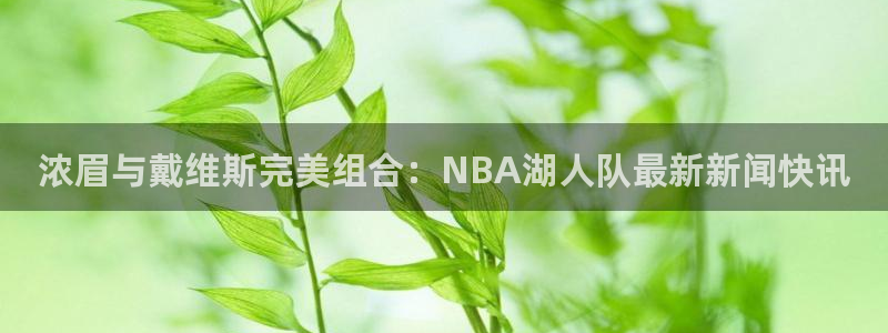 浓眉与戴维斯完美组合：NBA湖人队最新新闻快讯
