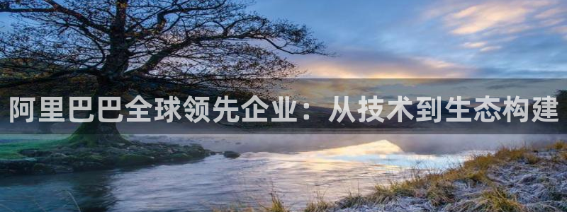 阿里巴巴全球领先企业：从技术到生态构建