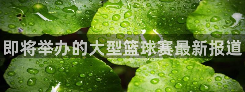 即将举办的大型篮球赛最新报道