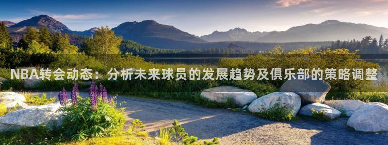 NBA转会动态：分析未来球员的发展趋势及俱乐部的策略调整