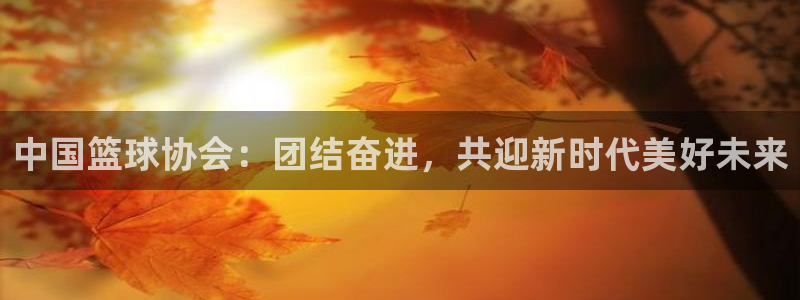 中国篮球协会：团结奋进，共迎新时代美好未来