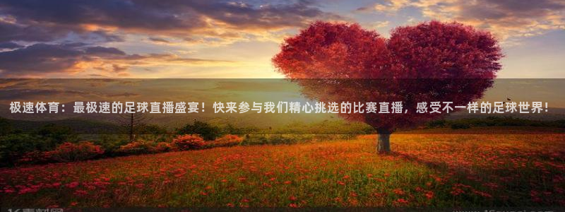 极速体育：最极速的足球直播盛宴！快来参与我们精心挑选的比赛直播，感受不一样的足球世界！