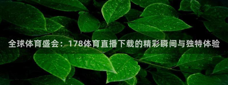 全球体育盛会：178体育直播下载的精彩瞬间与独特体验