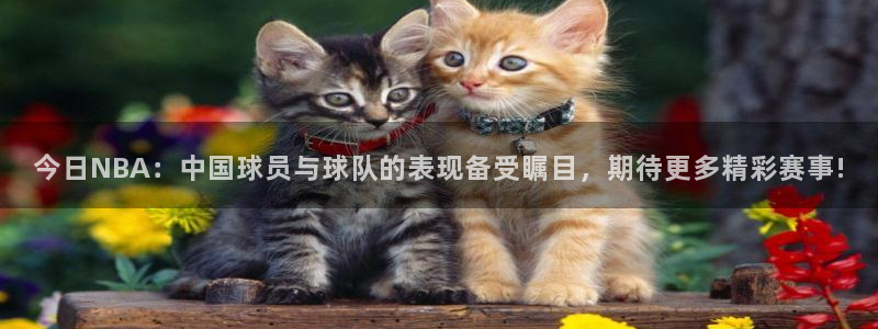 今日NBA：中国球员与球队的表现备受瞩目，期待更多精彩赛事!