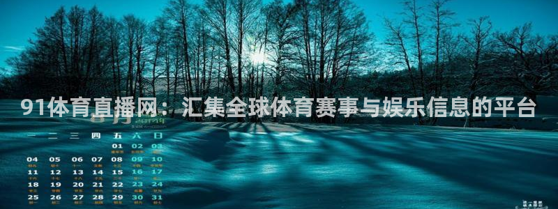 91体育直播网：汇集全球体育赛事与娱乐信息的平台