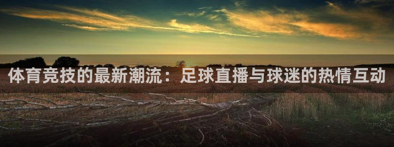 体育竞技的最新潮流：足球直播与球迷的热情互动