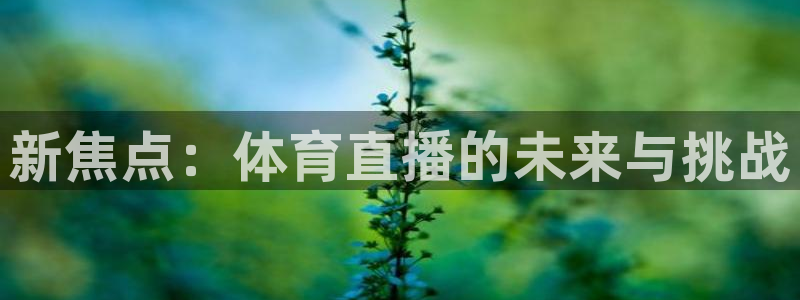 新焦点：体育直播的未来与挑战