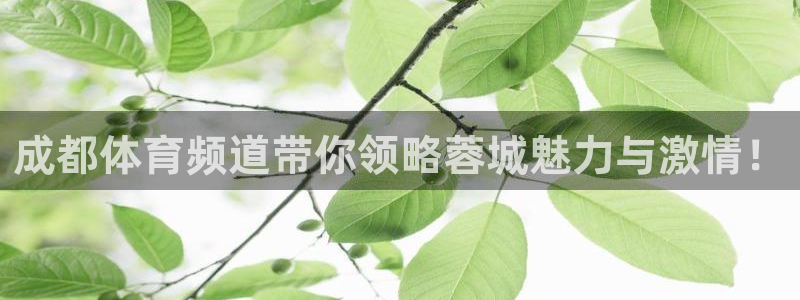 成都体育频道带你领略蓉城魅力与激情！