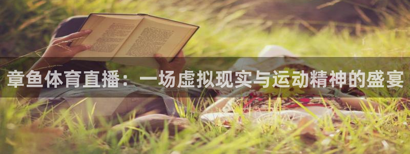 章鱼体育直播：一场虚拟现实与运动精神的盛宴