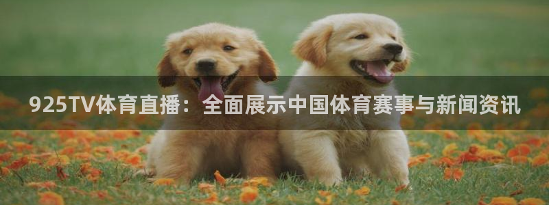 925TV体育直播：全面展示中国体育赛事与新闻资讯